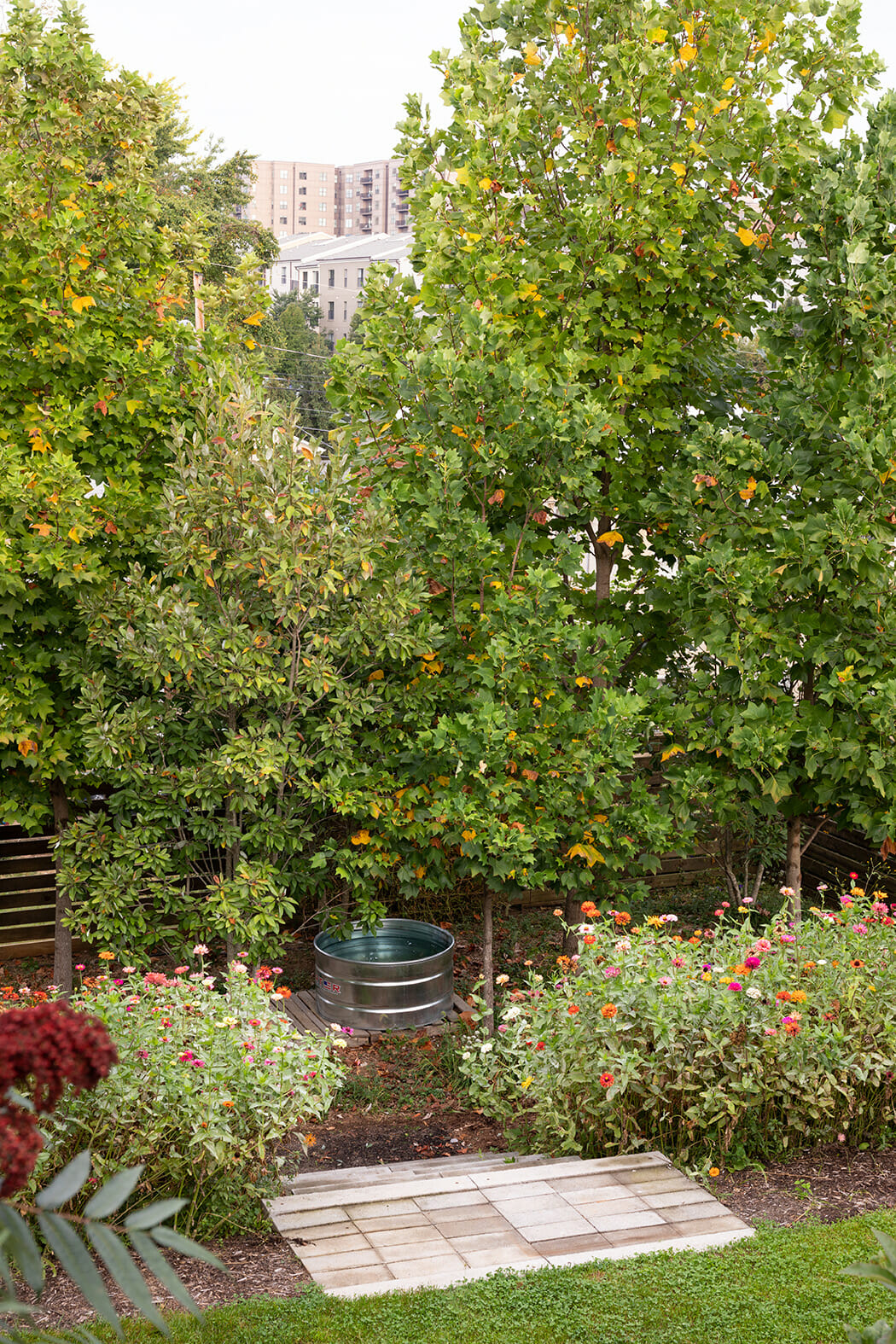 southern backyard living on C Ville Weekly The Diy Backyard How To Install A Home Landscape That Ll Make You Proud