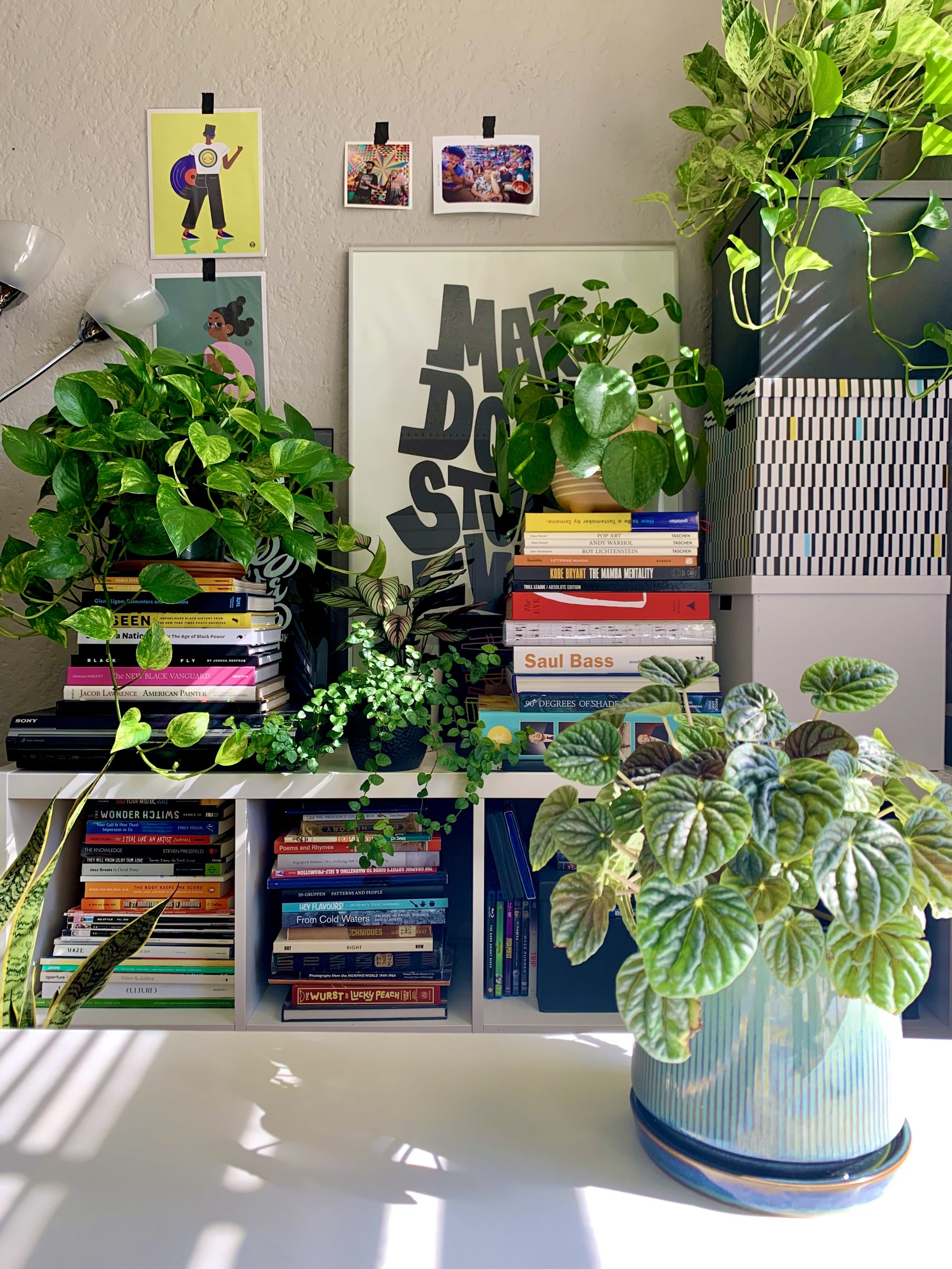 Plant zaddy