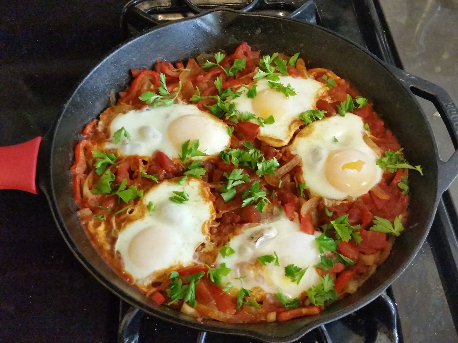 https://d33byq9npfy6u9.cloudfront.net/4/2023/01/09135521/Shakshuka_by_Calliopejen1.jpg