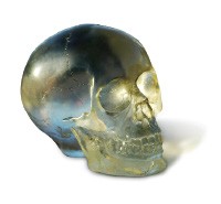 The Ancient Crystal Skull Synergy