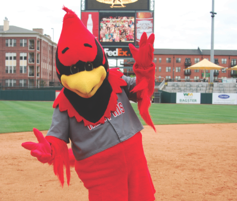 June 12, 2022: Rockey, the Memphis Redbirds Mascot, during the baseball  game between the Durham Bull