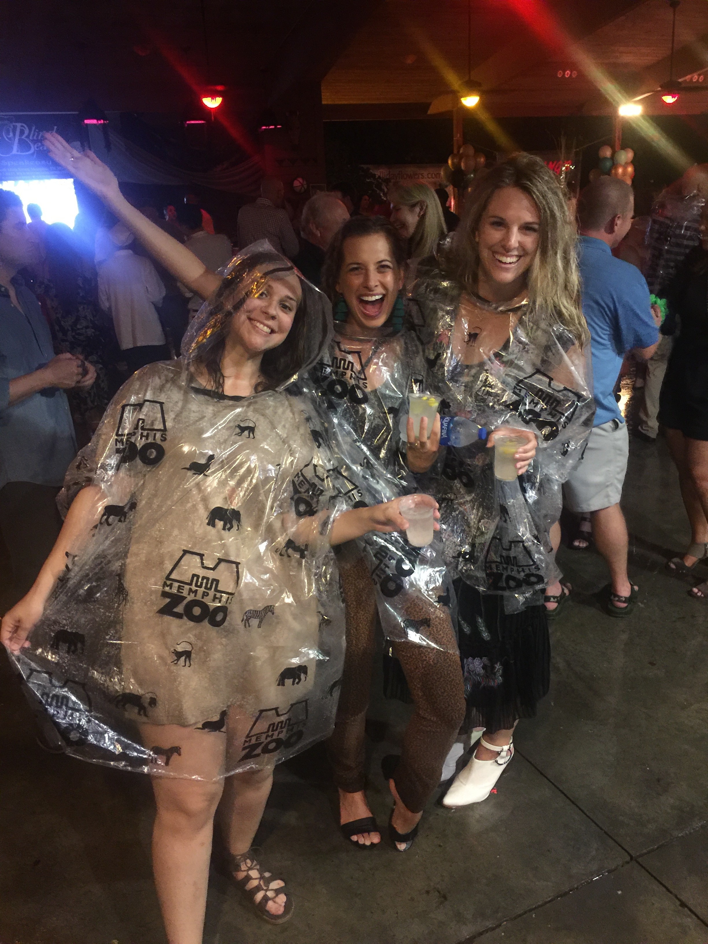 Memphis Flyer Rainy Zoo Rendezvous