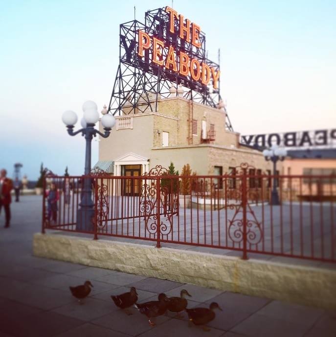 Memphis Flyer | Let’s Go: Peabody Rooftop Party